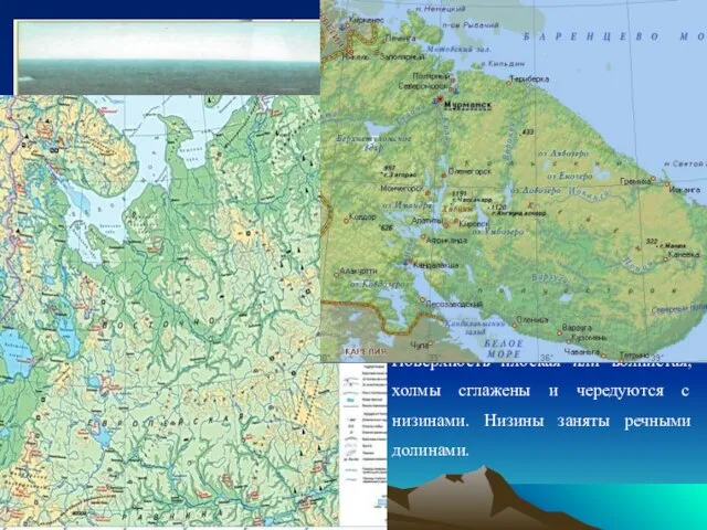 Основную площадь занимает Балтийский щит. Рельеф: равнинный с высотами не более