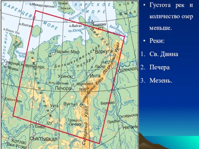 Густота рек и количество озер меньше. Реки: Св. Двина Печера Мезень.