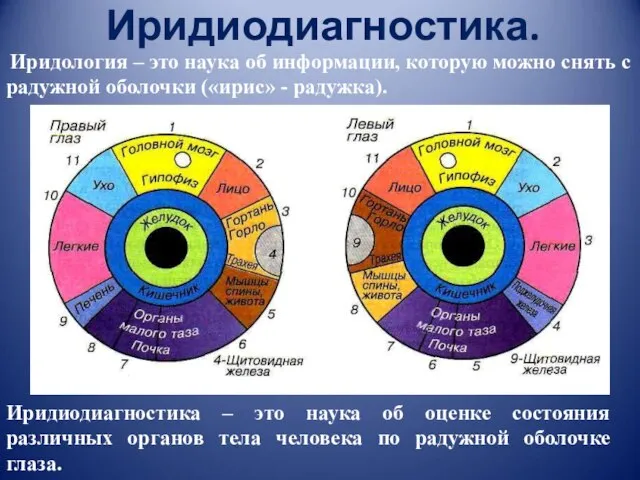 Иридиодиагностика. Иридиодиагностика – это наука об оценке состояния различных органов тела