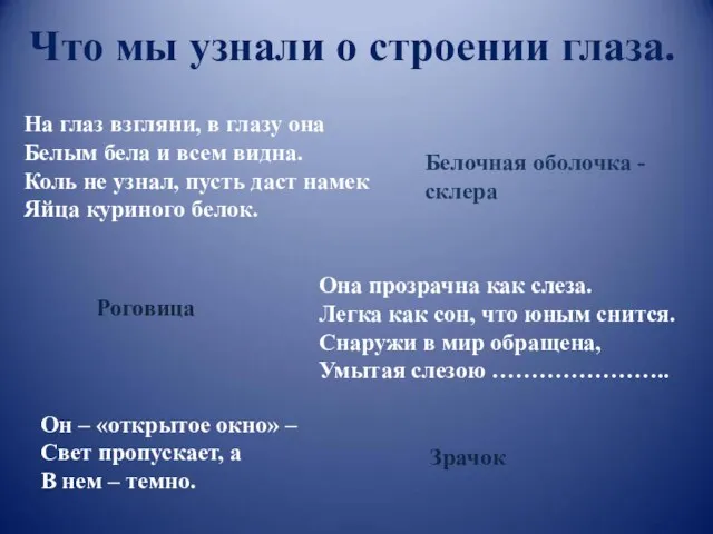 Что мы узнали о строении глаза. На глаз взгляни, в глазу