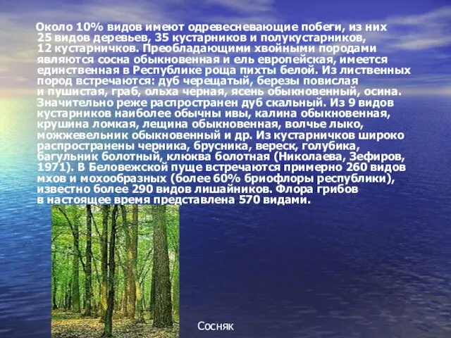 Около 10% видов имеют одревесневающие побеги, из них 25 видов деревьев,