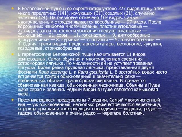 В Беловежской пуще и ее окрестностях учтено 227 видов птиц, в