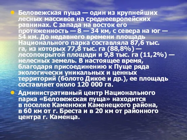 Беловежская пуща — один из крупнейших лесных массивов на среднеевропейских равнинах.