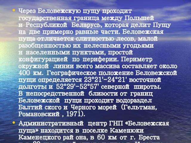 Через Беловежскую пущу проходит государственная граница между Польшей и Республикой Беларусь,