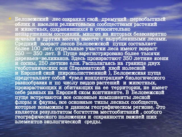 Беловежский лес сохранил свой дремучий первобытный облик и населен реликтовыми сообществами