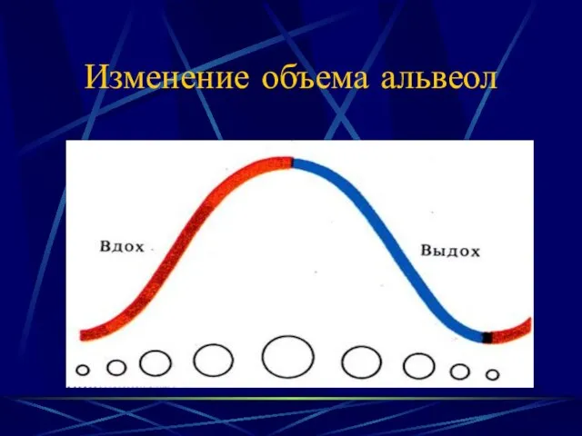 Изменение объема альвеол