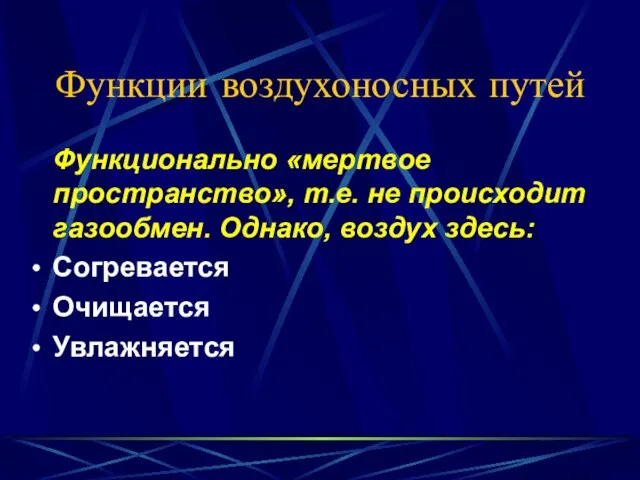 Функции воздухоносных путей Функционально «мертвое пространство», т.е. не происходит газообмен. Однако, воздух здесь: Согревается Очищается Увлажняется