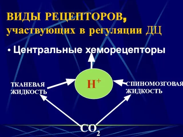 ВИДЫ РЕЦЕПТОРОВ, участвующих в регуляции ДЦ Центральные хеморецепторы Н+ ТКАНЕВАЯ ЖИДКОСТЬ СПИНОМОЗГОВАЯ ЖИДКОСТЬ СО2