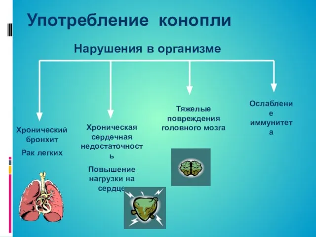 Употребление конопли Хронический бронхит Рак легких Хроническая сердечная недостаточность Повышение нагрузки