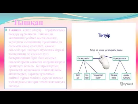 Тышқан Тышқан, кейде тінтуір – «графикалық» басқару құрылғысы. Тышқанды кілемшенің үстімен