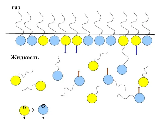 газ Жидкость σ1 σ2 ›