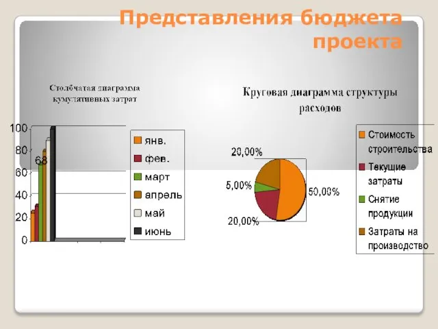 Представления бюджета проекта