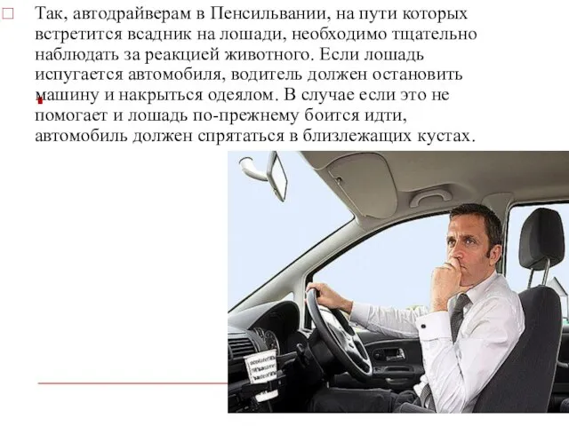 Так, автодрайверам в Пенсильвании, на пути которых встретится всадник на лошади,