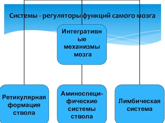 Системы - регуляторы функций самого мозга