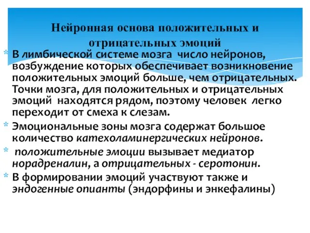 В лимбической системе мозга число нейронов, возбуждение которых обеспечивает возникновение положительных