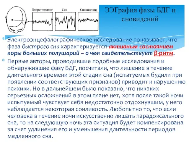 Электроэнцефалографическое исследование показывает, что фаза быстрого сна характеризуется активным состоянием коры