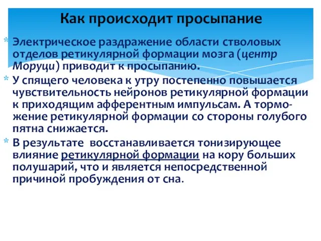 Электрическое раздражение области стволовых отделов ретикулярной формации мозга (центр Моруци) приводит