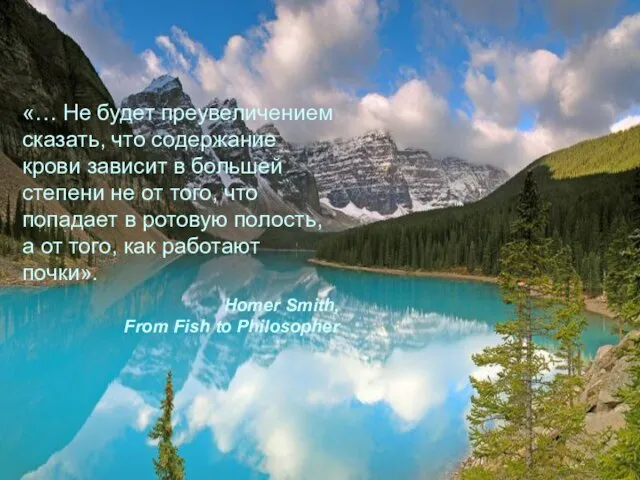 «… Не будет преувеличением сказать, что содержание крови зависит в большей