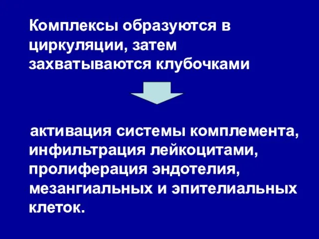 Комплексы образуются в циркуляции, затем захватываются клубочками активация системы комплемента, инфильтрация