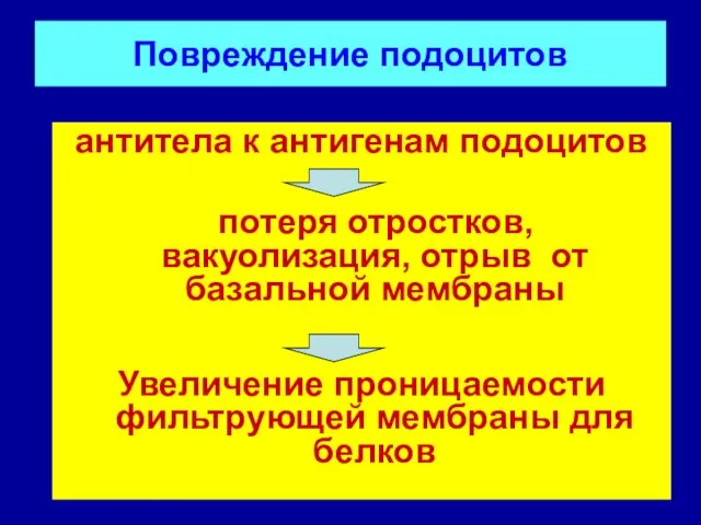 Повреждение подоцитов антитела к антигенам подоцитов потеря отростков, вакуолизация, отрыв от