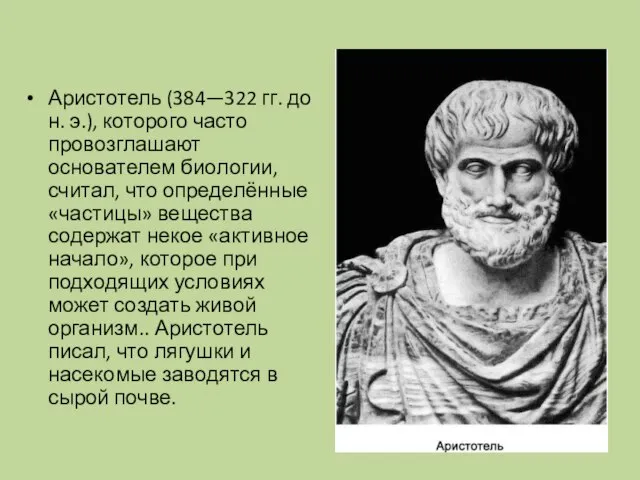 Аристотель (384—322 гг. до н. э.), которого часто провозглашают основателем биологии,