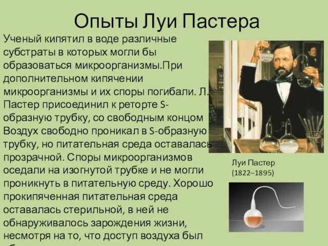 Опыты Луи Пастера Ученый кипятил в воде различные субстраты в которых