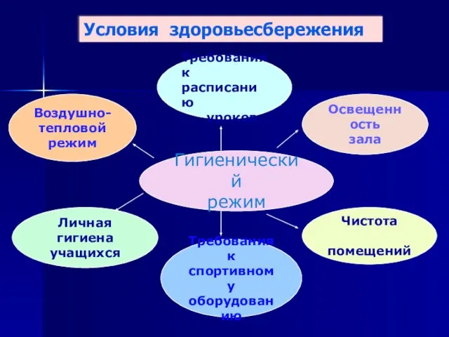 Гигиенический режим Требования к спортивному оборудованию Освещенность зала Требования к расписанию