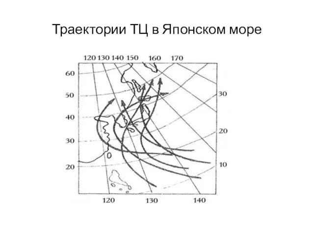 Траектории ТЦ в Японском море