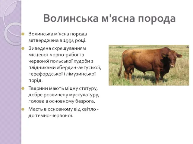 Волинська м'ясна порода Волинська м'ясна порода затверджена в 1994 році. Виведена