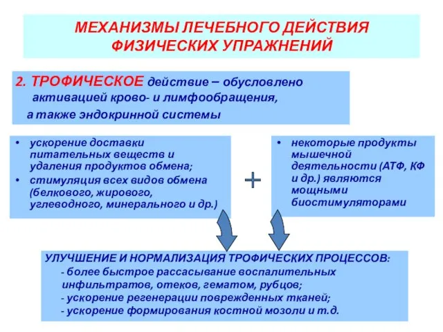 МЕХАНИЗМЫ ЛЕЧЕБНОГО ДЕЙСТВИЯ ФИЗИЧЕСКИХ УПРАЖНЕНИЙ 2. ТРОФИЧЕСКОЕ действие – обусловлено активацией