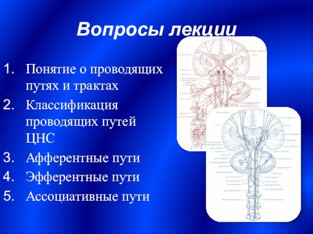 Вопросы лекции Понятие о проводящих путях и трактах Классификация проводящих путей