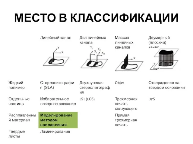 МЕСТО В КЛАССИФИКАЦИИ