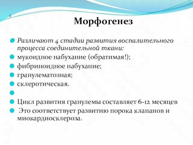 6 Морфогенез Различают 4 стадии развития воспалительного процесса соединительной ткани: мукоидное