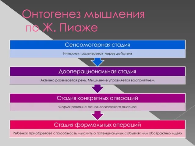 Онтогенез мышления по Ж. Пиаже