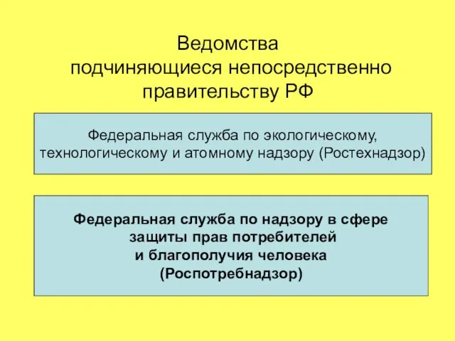 Ведомства подчиняющиеся непосредственно правительству РФ Федеральная служба по экологическому, технологическому и