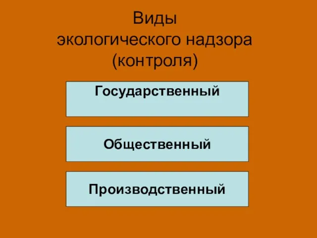 Виды экологического надзора (контроля) Государственный Общественный Производственный