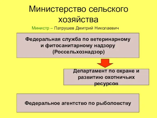 Министерство сельского хозяйства Министр – Патрушев Дмитрий Николаевич Федеральная служба по