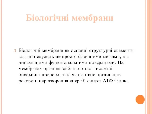 Біологічні мембрани Біологічні мембрани як основні структурні елементи клітини служать не