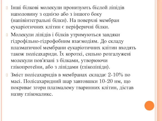 Інші білкові молекули пронизують біслой ліпідів наполовину з однією або з