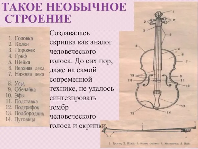 ТАКОЕ НЕОБЫЧНОЕ СТРОЕНИЕ Создавалась скрипка как аналог человеческого голоса. До сих