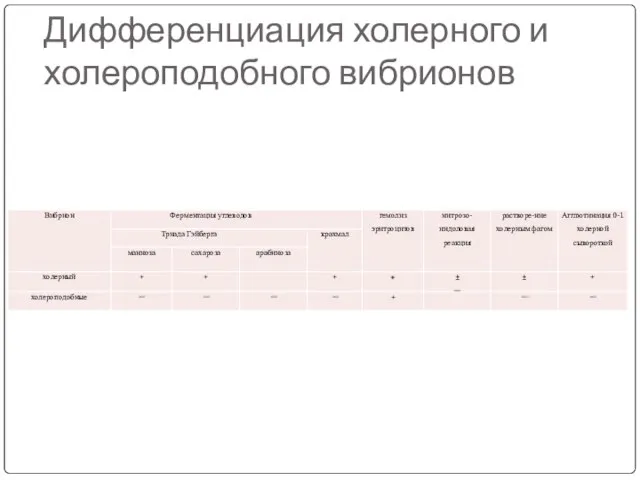 Дифференциация холерного и холероподобного вибрионов