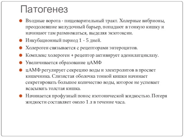 Патогенез Входные ворота - пищеварительный тракт. Холерные вибрионы, преодолевшие желудочный барьер,