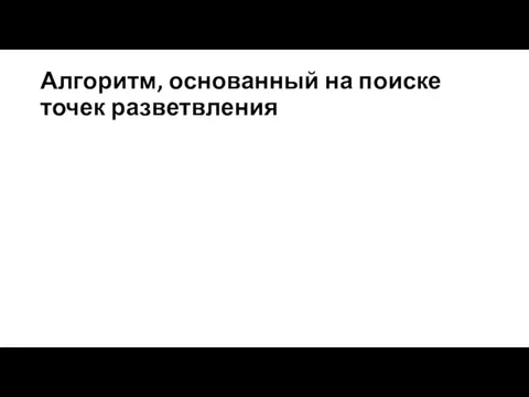 Алгоритм, основанный на поиске точек разветвления