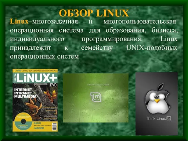 ОБЗОР LINUX Linux–многозадачная и многопользовательская операционная система для образования, бизнеса, индивидуального