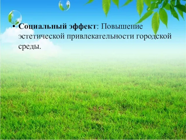 Социальный эффект: Повышение эстетической привлекательности городской среды.