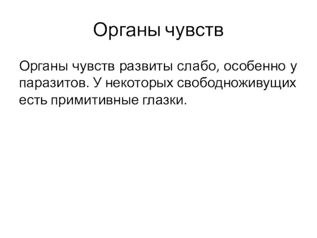 Органы чувств развиты слабо, особенно у паразитов. У некоторых свободноживущих есть примитивные глазки. Органы чувств