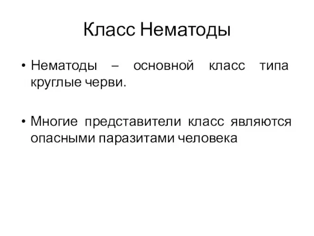 Класс Нематоды Нематоды – основной класс типа круглые черви. Многие представители класс являются опасными паразитами человека