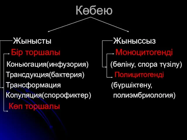 Көбею Жынысты Жыныссыз Бір торшалы Моноцитогенді Коньюгация(инфузория) (бөліну, спора түзілу) Трансдукция(бактерия)