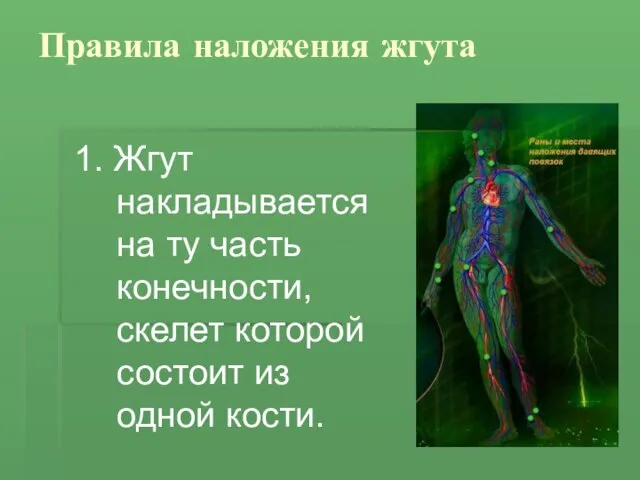 Правила наложения жгута 1. Жгут накладывается на ту часть конечности, скелет которой состоит из одной кости.