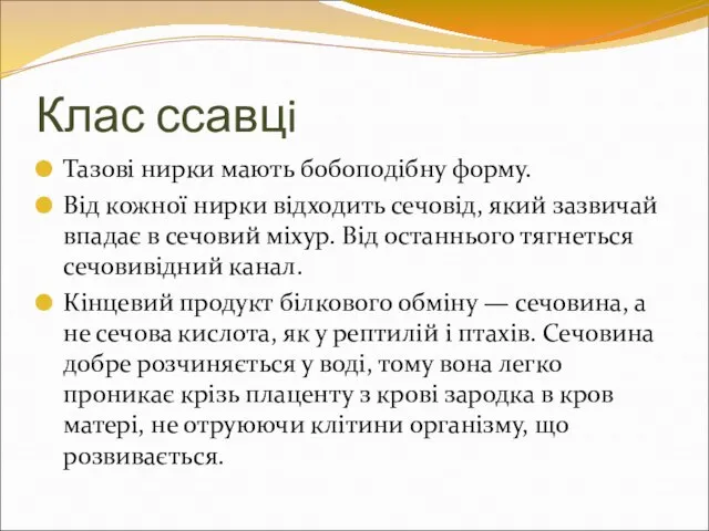 Клас ссавцi Тазові нирки мають бобоподібну форму. Від кожної нирки відходить